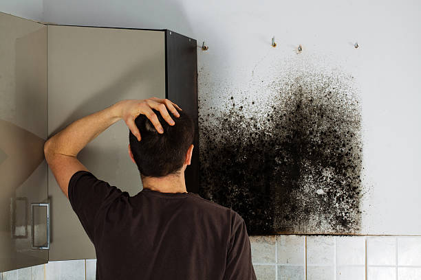 Crawl Space Mold Removal in Lake Grove, NY